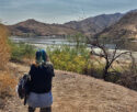 American Road Trips